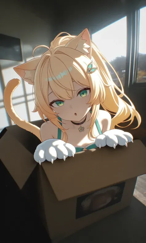 MiaoMiao Anime reality