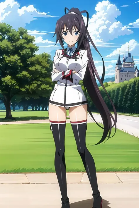 Shinonono Houki/Infinite Stratos