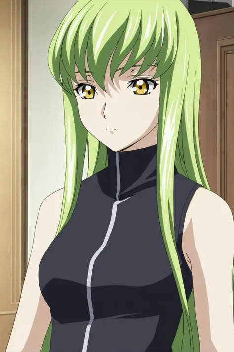 C.C. - Code Geass [Commission]