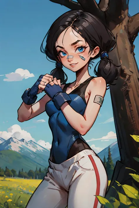 videl, black hair, twin tails, blue eyes,
blue leotard, white pants, sweatpants, bandaid on face, blue fingerless gloves, looking at viewer, serious, smiling, fighting pose, outside, field, trees, mountain, blue sky,, high quality, masterpiece, <lora:mayle...