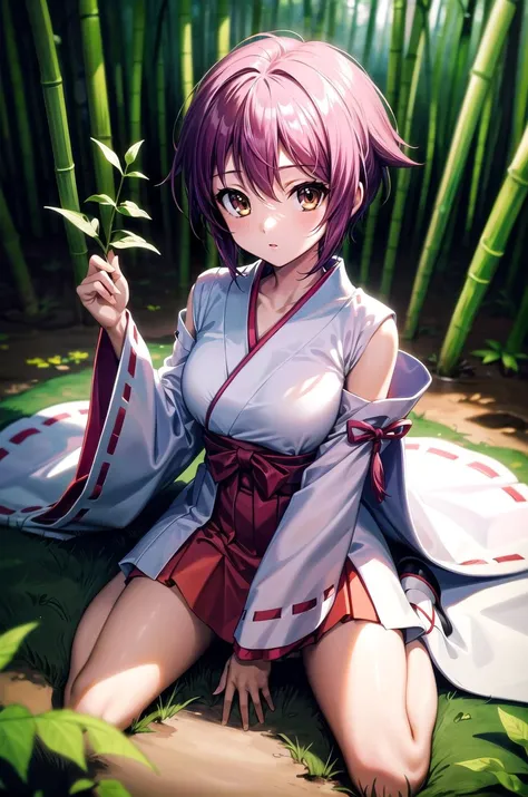 (masterpiece, best quality, detailed), 1girl, solo, ny1, looking looking at viewer, expressionless,
miko, japanese clothes, red hakama, hakama skirt, wide sleeves, white kimono, ribbon trim, outdoors, bamboo forest, nature, wariza, hand between legs, from ...