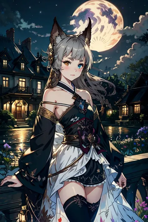 black victorian dress, heterochromia, erune, <lyco:Pholia-000015:1.0>, mansion, night, night sky, , , Cowboy Shot,