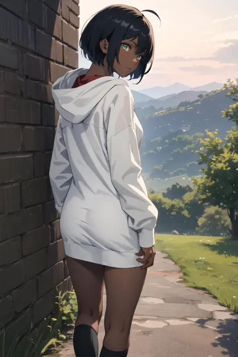 masterpiece, best quality, from behind, panorama, extremely detailed 8k CG unity wallpaper, 1girl with short bob cut hair, glowing eyes, hoodie,,, leggings, kneehighs, (dark skin:1.3), toned, morning, <lora:NAI-yoshitoshi_abe:0.8>,<lora:92m2-e06:0.4>, gree...