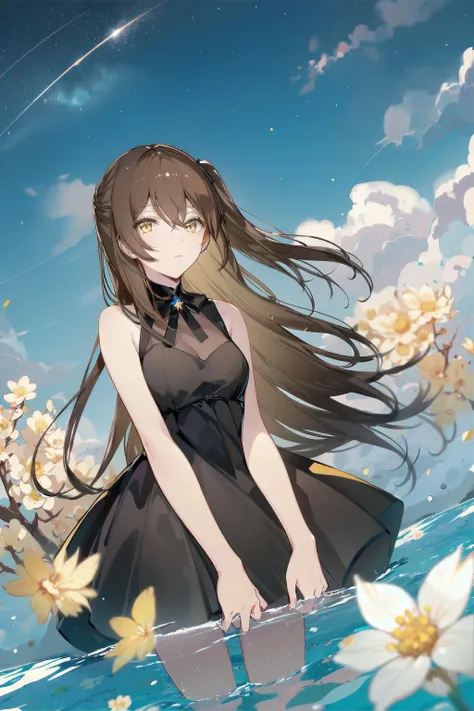 -1girl, solo, brown hair, long hair, dress, black dress, sky, looking at viewer, flower, sleeveless, night, brown eyes, sleeveless dress, bangs, wading, breasts, night sky, star (sky), outdoors, cloud, shooting star, water, one side up, starry sky, white f...