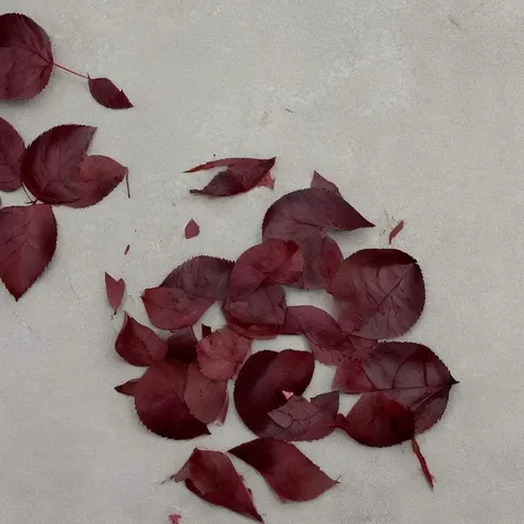 ash and burn rose leaves <lora:simple_background_v2:1>