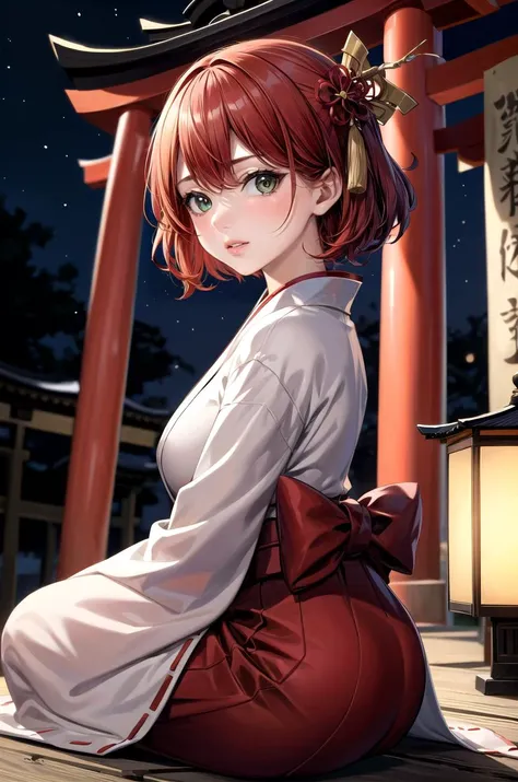 (masterpiece, best quality, detailed), 1girl, solo, blkwidow, looking at viewer,
miko, japanese clothes, red hakama, hakama skirt, wide sleeves, white kimono, ribbon trim, outdoors, night, torii, shrine, east asian architecture, sitting, from side, parted ...