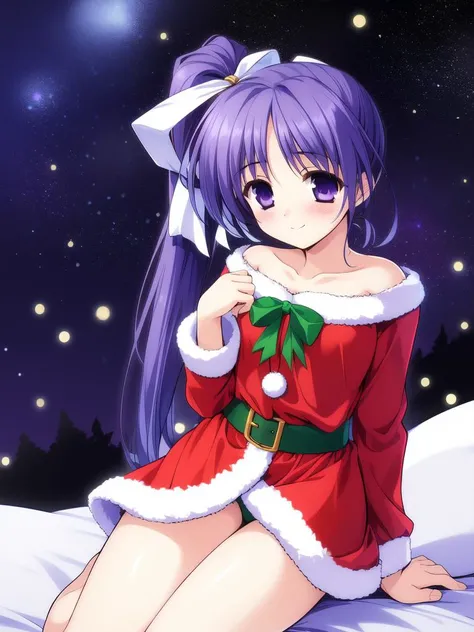 <lora:Itou_Noemi:0.8>ItouNoemi, 1girl, soro, blue_hair, long_hair, side_ponytail, ribbon, purple_eyes, hair_ribbon, smile, blush, small_breasts,
Christmas, SantaClaus,  night, starry sky, sitting,
masterpiece, high quality, very_high_resolution, large_file...