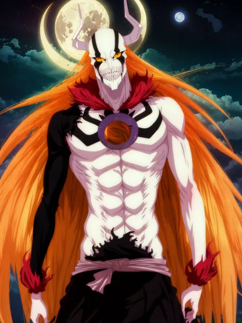 Ichigo Vasto Lorde