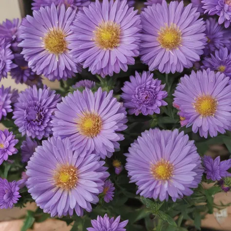 purple flowers in a vase on a table with a brown table cloth