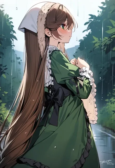 1girl, suiseiseki, pov, from side, long hair, brown hair, dress, heterochromia, very long hair, green eyes, blush, green dress, rain, outdoors, long sleeves, wet, ribbon, red eyes, frills, masterpiece, best quality, late,  <lora:char - suiseiseki - v1 - bi...