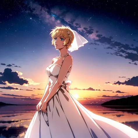 <lora:Layla001:0.7>,
Layla,1woman,short hair,
wedding_dress,sunset,wedding,starry_sky,