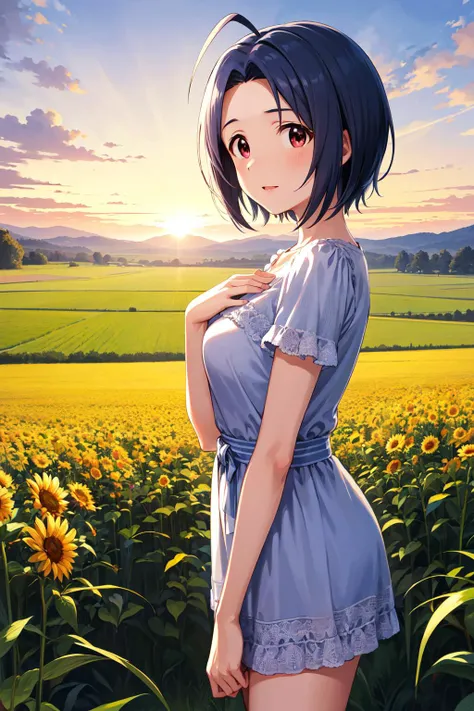 masterpiece, best quality, highres, aaazusa, short hair, ahoge, parted bangs, <lora:miura_azusa_v1:0.7>, sunset, field, standing, hand on own chest,