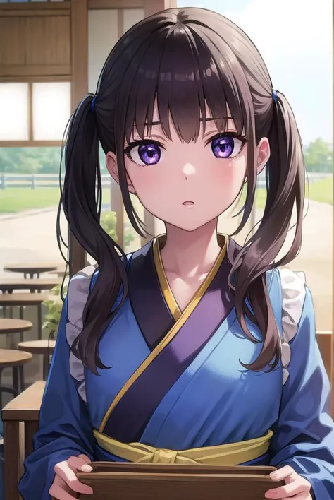 takinainoue, <lyco:takinainoue-lyco-nochekaiser:1>, 
inoue takina, long hair, bangs, twintails, black hair, (purple eyes:1.2),
BREAK japanese clothes, kimono, apron, waist apron, blue kimono, waitress,
BREAK looking at viewer, (cowboy shot:1.5),
BREAK indo...