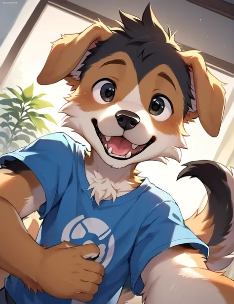 there is a dog that is wearing a shirt and smiling