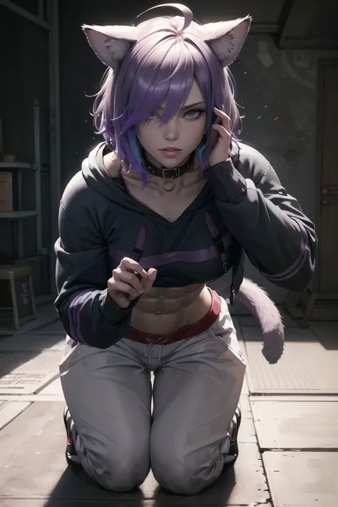 aaokayu, short hair, ahoge, animal ears, cat tail, animal collar, black collar, collarbone, print hoodie, black hoodie, long sleeves, midriff, white pants, <lora:nekomata_okayu_v1:0.8>, (full body shot), crouching,
(Ripped, abs, leg mussels, arm mussels), ...