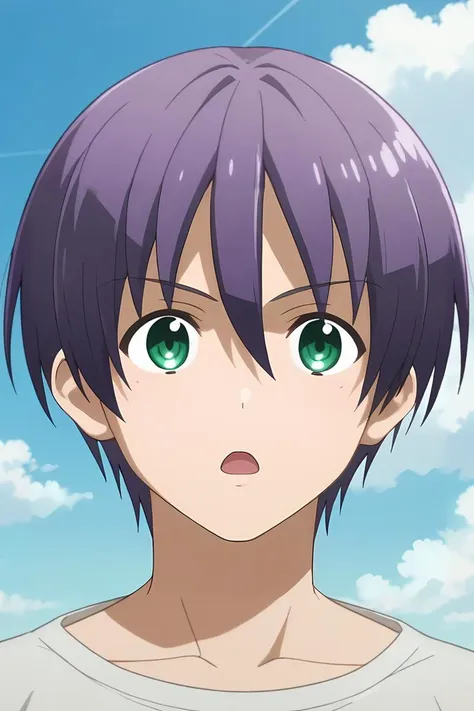 score_9, score_8_up, score_7_up, source_anime, rating_safe, intricate details, anime screencap, , , , , 1boy, solo, male focus, <lora:nasa_yuzaki_pony:0.78>, nasa_yuzaki, purple hair, green eyes, short hair, hair between eyes, cowboy shot, heaven, clouds, ...