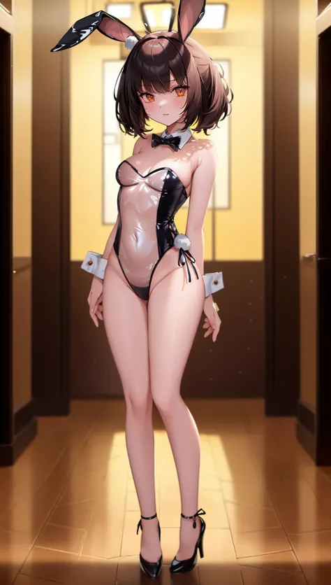 半透明兔女郎_Translucent Bunny Girl_半透明バニー