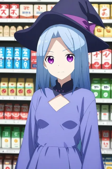 a woman in a purple dress and a black hat stands in front of a store shelf