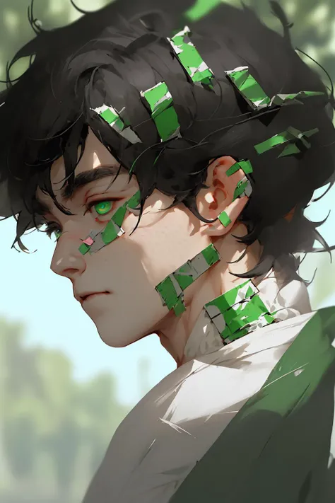 <lora:NijiV3Fantasy:0.8>,1boy, male focus, black hair, solo, green eyes, profile, short hair, blurry, closed mouth, blurry background, bandaid, portrait, from side, bangs, bandaid on face, close-up