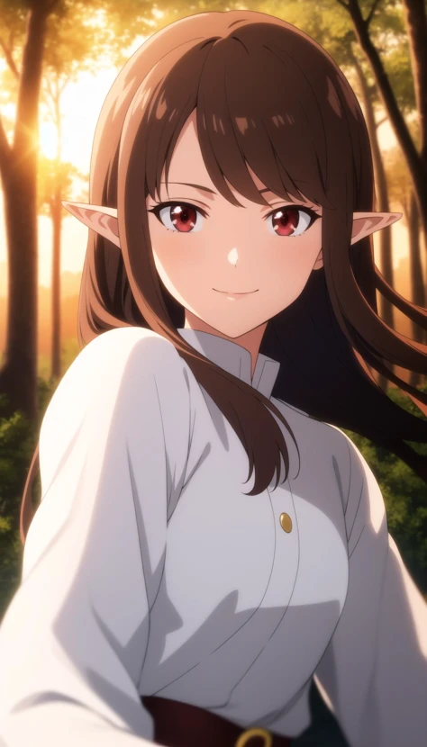 masterpiece, best quality, solo, anime screencap, 
long hair, brown hair, red eyes, dress, pointy ears, light smile, 
depth of field, blurry background, forest, portrait, wind, sunset, good hands, thin, long sleeves,