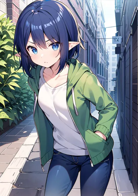 masterpiece, best quality,
1girl,
alley,
standing, hands in pockets,
(short jacket, hood down), jeans,
(dark blue hair), short hair, dark blue eyes, jitome, disdain, short pointy ears, small breasts,