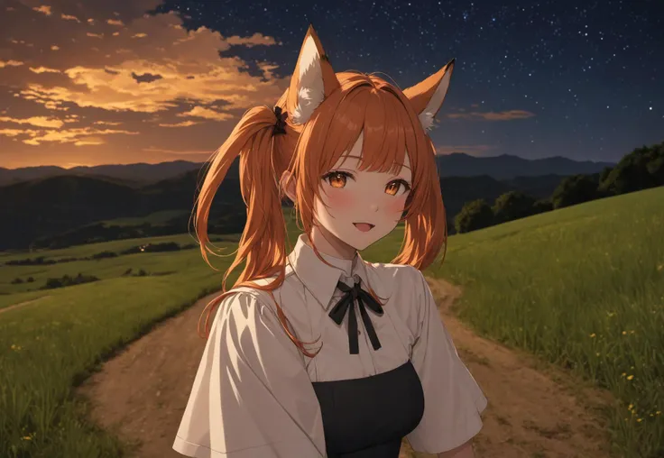 safe_pos, (masterpiece, best quality), 
1girl, fantasy costume, dress, uniform, large breasts, 
orange hair, twintails, bangs, fox ears, 
(blush, relaxing), happy, star in eyes, blank eyes, open mouth, 
outdoor, countryside, night, landscape, starry sky, s...