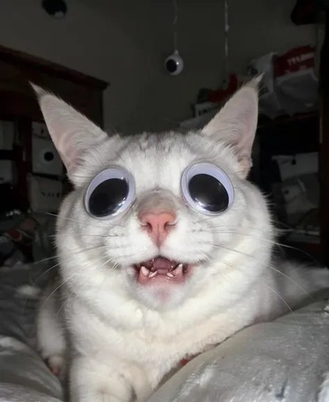 Googly Eyes and Stuff.