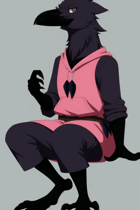 anthro avian corvid, (crow), beak, ((winged-arms)), hag costume, anime style, restricted color pallet, sitting, looking at viewer, shy