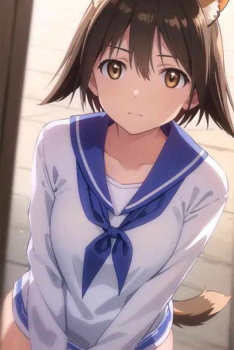 yoshikamiyafuji, <lora:yoshika miyafuji anime-lora-nochekaiser:1>,
yoshika miyafuji, short hair, brown hair, animal ears, (brown eyes:1.5), dog ears, dog tail, dog girl,
BREAK school uniform, serafuku, shirt, white shirt, long sleeves, blue sailor collar, ...