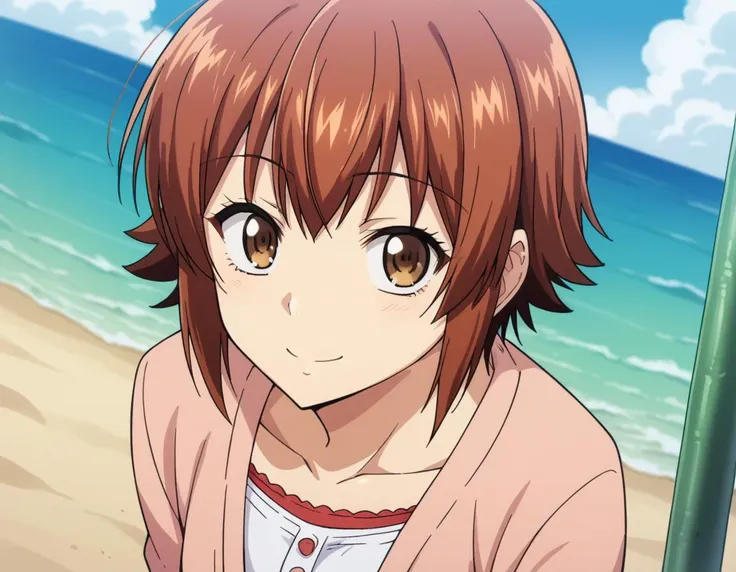 anime girl with brown hair and brown eyes sitting on the beach