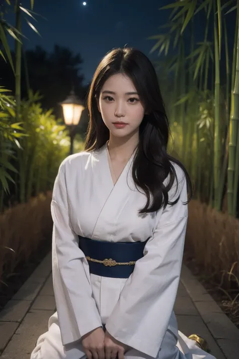 best quality,masterpiece,photorealistic,realistic,
beautiful face,beautiful eyes,
1girl,soft light,outdoors,night sky,star,bamboo forest,
long long hair,golden hair,
kneeling on the ground,playing flute,
sideways,
full body,kimono,