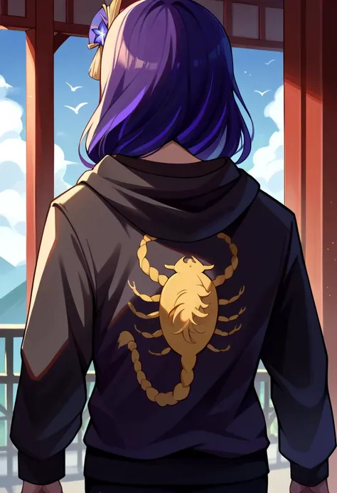 score_9, score_8_up, source_anime, <lora:drivejacket-outfit-richy-v1_pdxl:1>, print, from behind, 1girl, black hoodie, raiden shogun, tomoe (symbol),