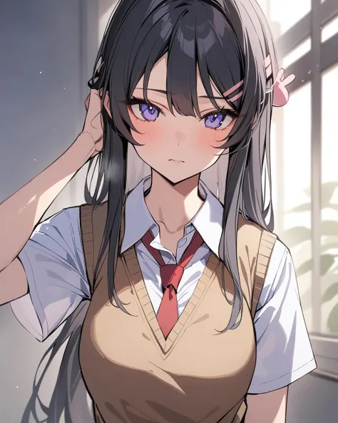 Mai Sakurajima (Rascal Does Not Dream of Bunny Girl Senpai ) 樱岛麻衣