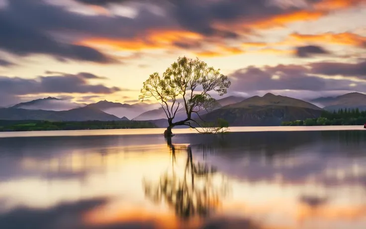 a lone tree stands in the middle of a lake at sunset