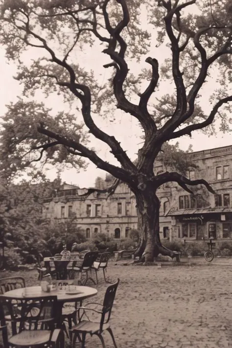 there is a large tree that is in the middle of a courtyard