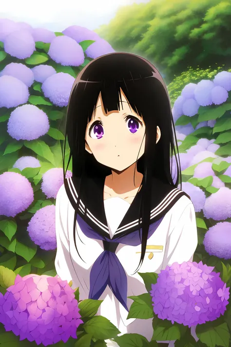 chitanda eru, black hair, long hair, purple eyes, blush, serafuku, bangs, skirt, kamiyama high school uniform (hyouka), <lora:GoodHands-beta2:1>,pov, <lora:Chitanda Eru:0.7>,hydrangea, garden,