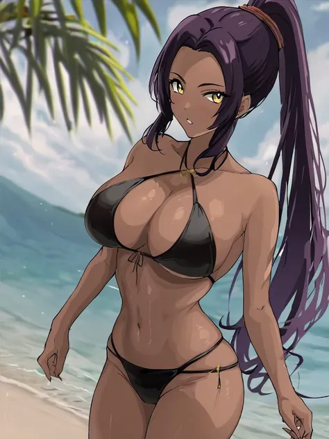 <lora:Iwao-PonyXL-1024px:0.9>, score_5_up,
1girl, solo, standing on sunny beach,  dark-skinned female, bangs, high ponytail, yellow eyes, wearing black bikini, large breasts, dark purple hair, slim waist, thighs, parted lips