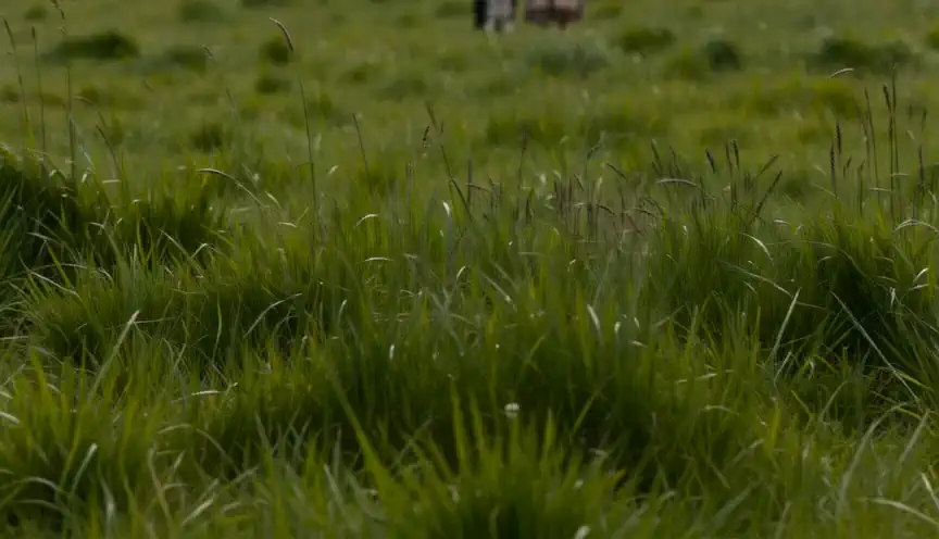 こっちじゃないですよ🍃