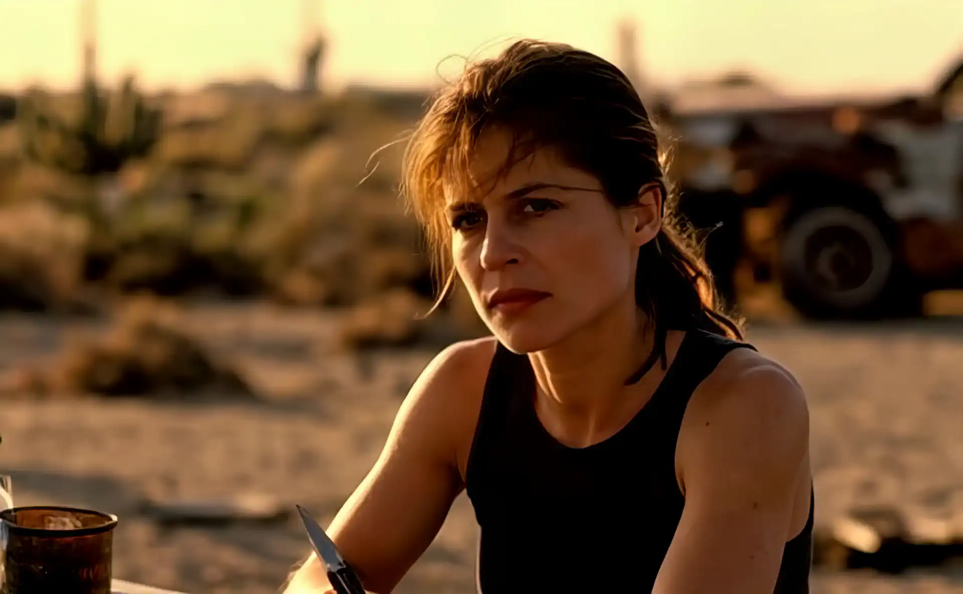 Sarah Connor (Linda Hamilton) - Hunyuan Lora