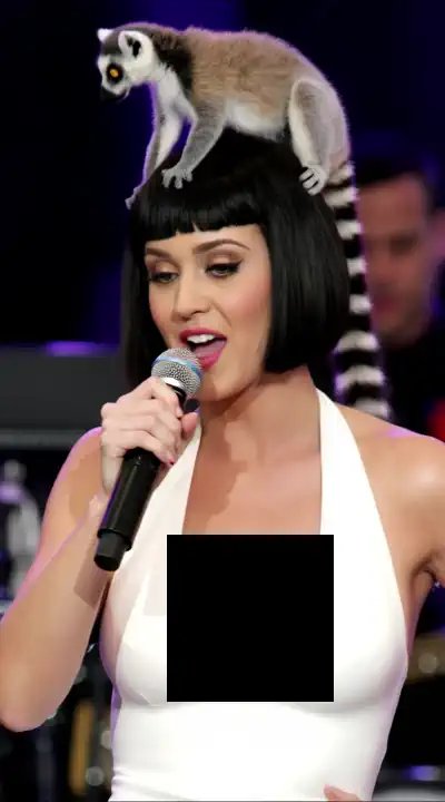 Katy Perry Hunyuan video Lora