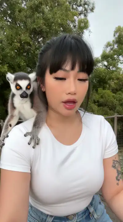Nnnnekochan Hunyuan video LoRA