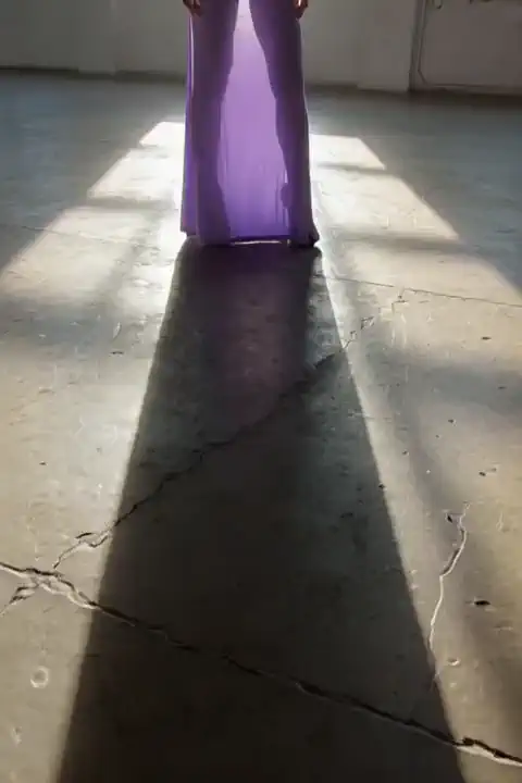 WtSSTaDaMiT - Translucent Dress (Flux & Pony)