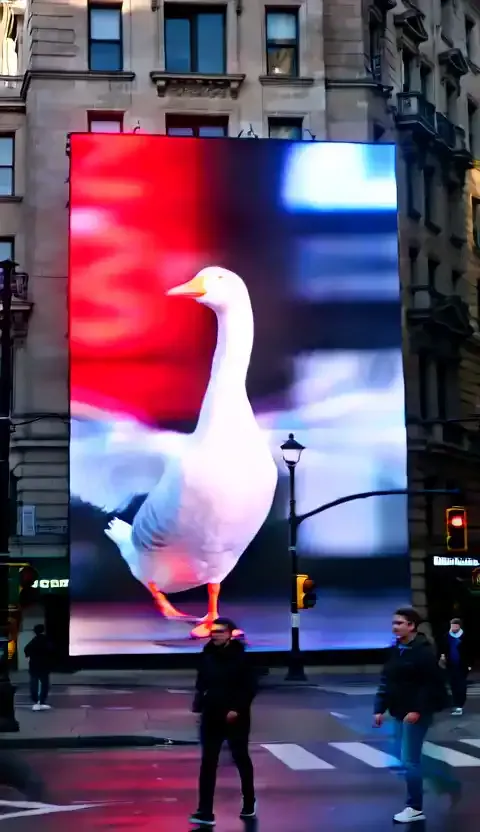 Die Tiershow auf dem Bildschirm des Times Square