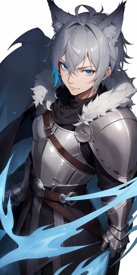 1male, toned, gray hair, slim, glowing blue eyes, hd, vibrant, masterpiece, full body view, wolf ears, wolf tail, knight robes, ...