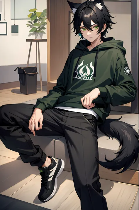 1boy, black hair, green eyes, wolf ears, wolf tail, androgynous, black pants, forest, vibrant, hd, best quality, black hoodie