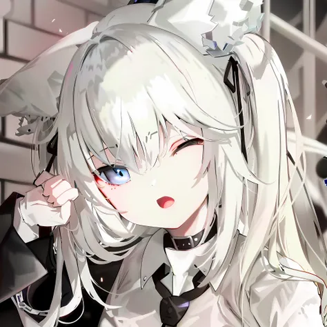 white hair, blue eyes, girl front style, (1girl:1.5), (black and white cat:1.3), hd, (500x500:1.3), anime catwoman, anime girl, ...