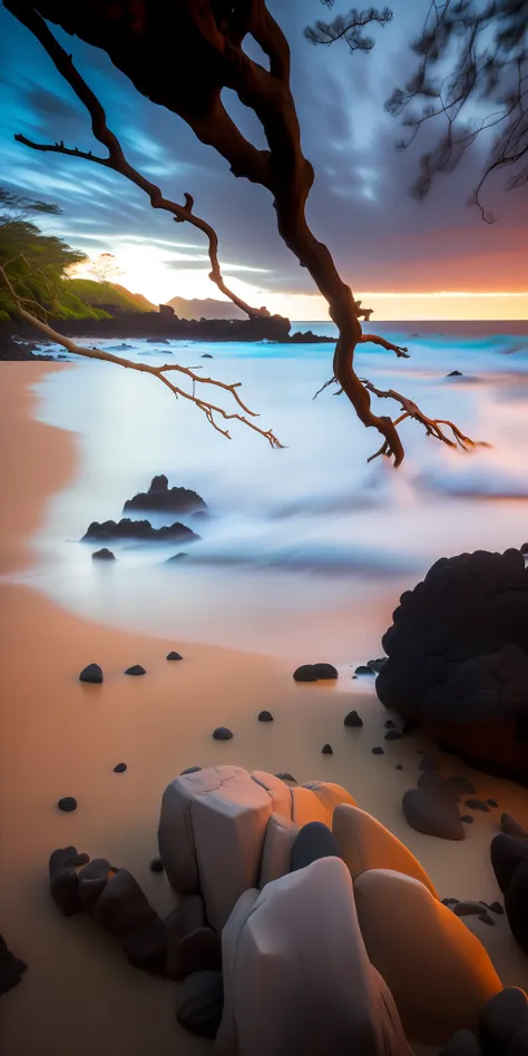 trees and rocks on the beach with a sunset in the background, maui, hawaii beach, breath taking, morning glow, by alexander robe...