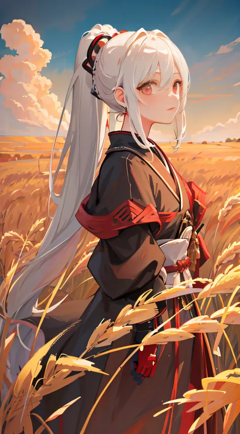 masterpiece, superb girl, national style girl, 1girl, portrait, white hair, ponytail, red eyes, samurai, wheat landscape, sun, c...