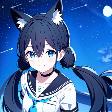 1girl, solo, animal_ears, blue_eyes, twintails, smile, sailor_collar, cat_ears, black_hair, star_(sky), starry_sky, sky, blush, ...