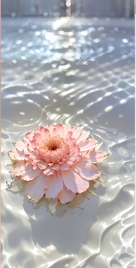 there is a pink flower floating in a pool of water, (pink colors), with bloom ethereal effects, beautiful and aesthetic, wallpap...